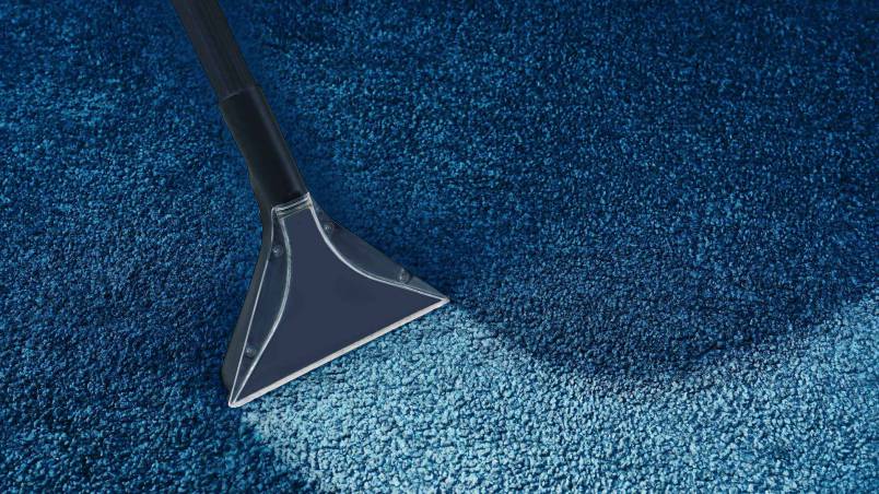 Ein Teppichreiniger reinigt einen blauen Teppich, wobei eine deutlich hellere, saubere Fläche im Vergleich zum restlichen Teppich sichtbar wird.